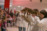 kaiserbengal-philadelphia