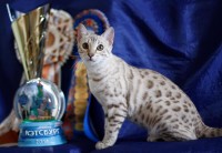 batifoleurs-mata-hari